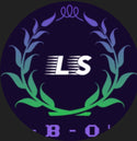 LS Vision 1325